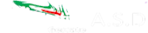 Polisportiva Gessate A.S.D 